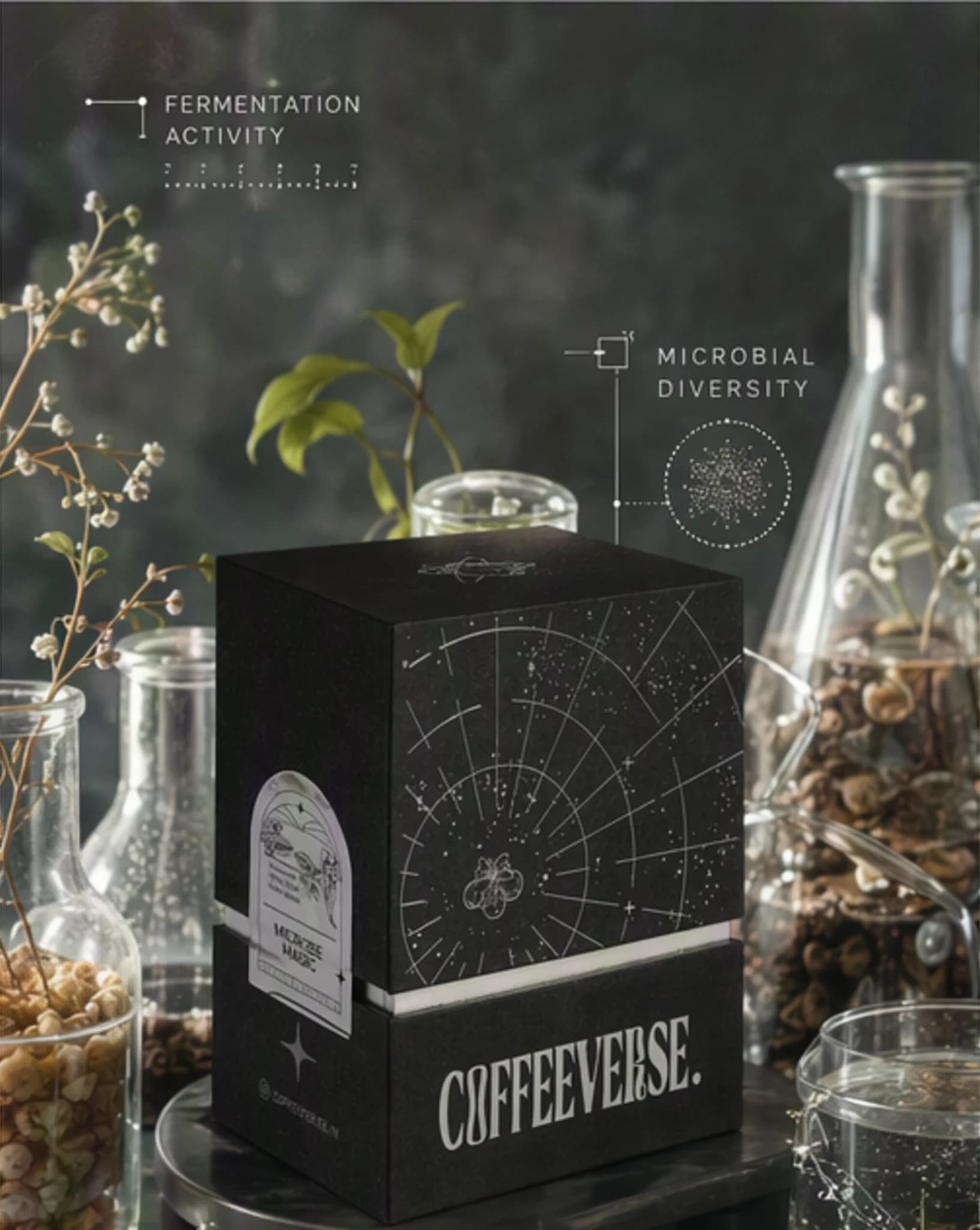 A Coffeeverse coffee box in a surreal laboratory world representing anaerobic fermentation.